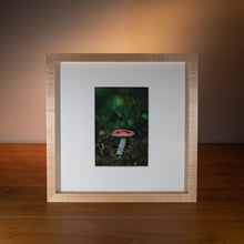 Load image into Gallery viewer, Toadstool — Agave Art Print