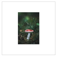 Load image into Gallery viewer, Toadstool — Agave Art Print