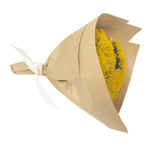Load image into Gallery viewer, Mini Yarrow Bundle