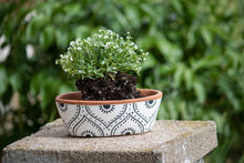 Load image into Gallery viewer, Hand-Painted Oval Terracotta Planter