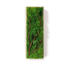 Load image into Gallery viewer, Red Branch Moss &amp; Ferns — 36” x 12”