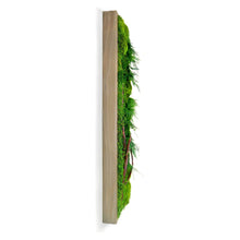 Load image into Gallery viewer, Red Branch Moss &amp; Ferns — 36” x 12”