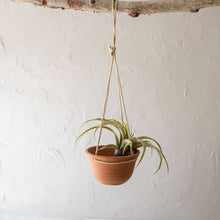 Load image into Gallery viewer, Terracotta &amp; Jute Hanging Planter Pot