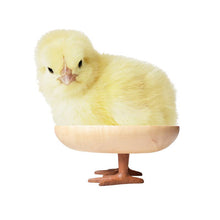 Load image into Gallery viewer, Walking Egg Tray