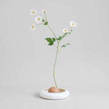 Load image into Gallery viewer, Terra Cotta Frog Vases