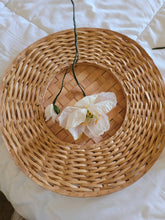 Load image into Gallery viewer, Paper Icelandic Poppy