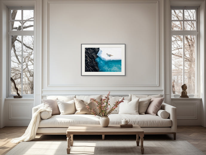 Between the Sheets // Wildlife Art Print