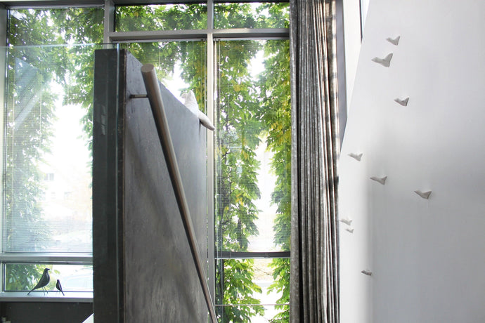 Large Flock of Birds (8)