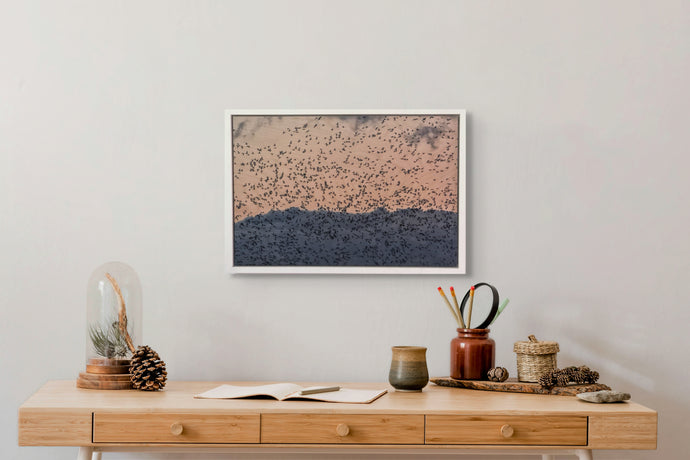 Chaos Theory — Photograph on Wood