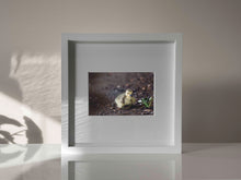 Load image into Gallery viewer, 10&quot; x 10&quot; Framed Duckling Art Print