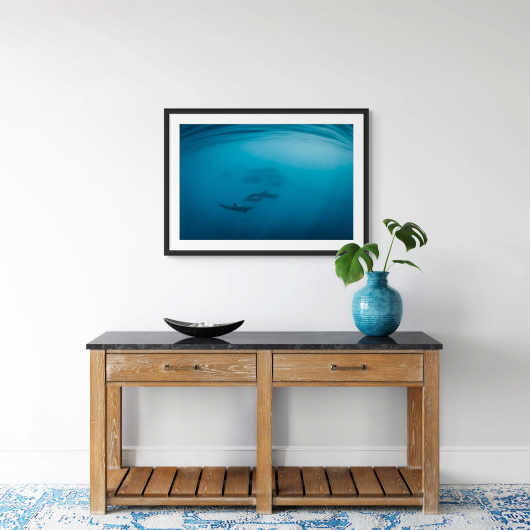 False Dawn // Underwater Nature Art Print