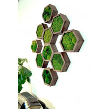 Load image into Gallery viewer, Modular Hexagons (Single Hexagon)