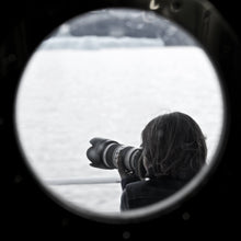 Load image into Gallery viewer, Between the Sheets // Wildlife Art Print