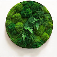 Load image into Gallery viewer, Fern &amp; Moss Plant Painting