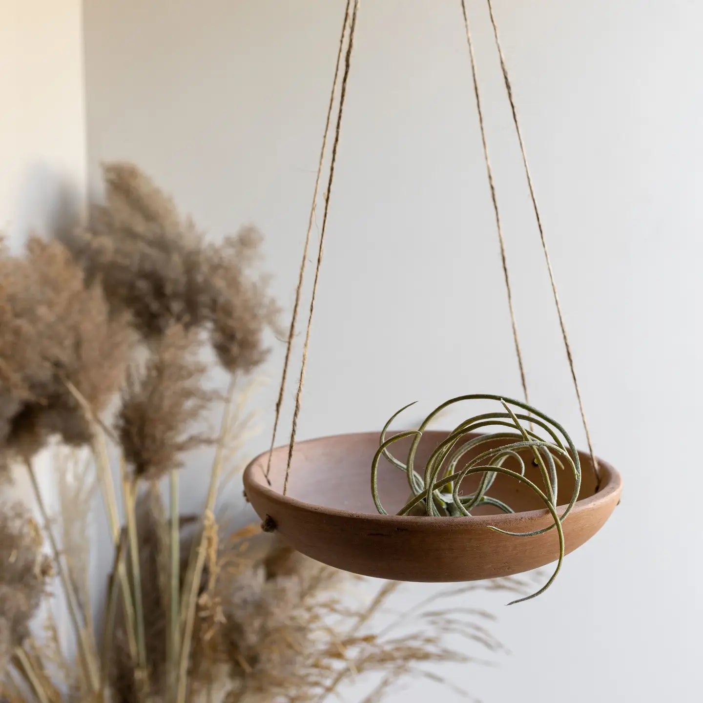 hanging terracotta plant pots Shallow Terracotta Hanging Planter – A Wild Life