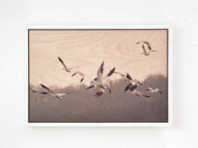 Load image into Gallery viewer, Photo on wood of snow geese by Joanna Lentini