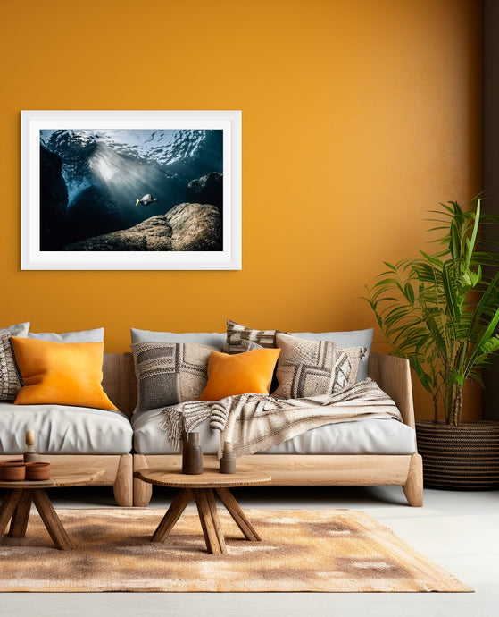 Spotlight // Underwater Art Print