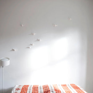 Large Flock of Birds (8)