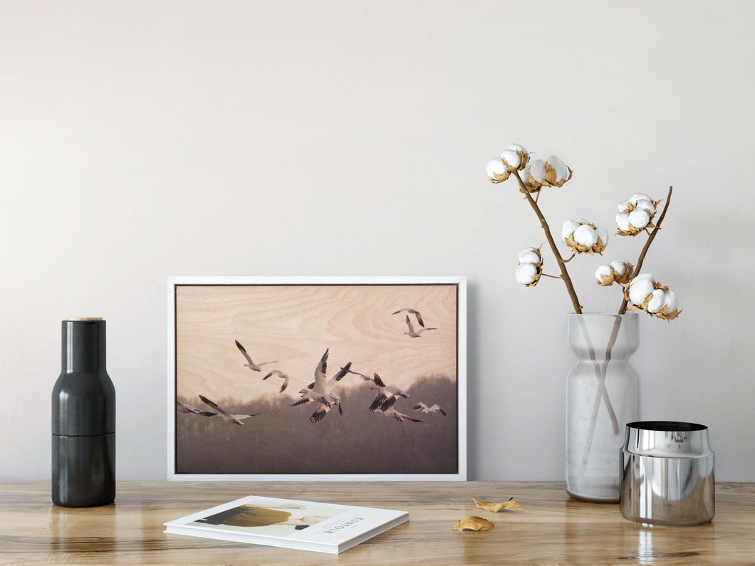 Wild Goose Chase // Nature Art Print on Wood