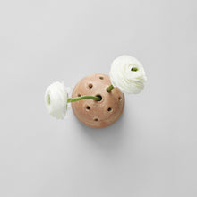 Load image into Gallery viewer, Terra Cotta Frog Vases