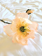 Load image into Gallery viewer, Paper Icelandic Poppy