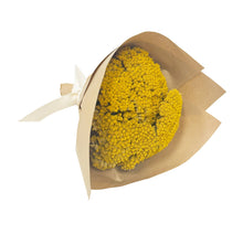 Load image into Gallery viewer, Mini Yarrow Bundle