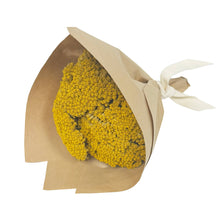 Load image into Gallery viewer, Mini Yarrow Bundle