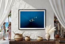 Load image into Gallery viewer, Driftward in Cabo Retail - Zoomed