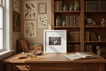Load image into Gallery viewer, Duckling framed art print in naturalist's study