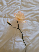 Load image into Gallery viewer, Paper Icelandic Poppy