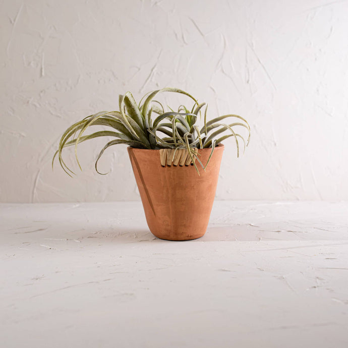 Mesa Terracotta Planter