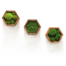 Load image into Gallery viewer, Modular Hexagons (Single Hexagon)