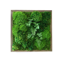 Load image into Gallery viewer, Fern &amp; Moss Handmade Artwork — 14” x 14”
