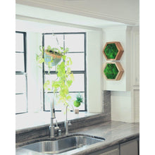 Load image into Gallery viewer, Modular Hexagons (Single Hexagon)