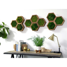 Load image into Gallery viewer, Modular Hexagons (Single Hexagon)