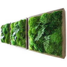 Load image into Gallery viewer, Fern &amp; Moss Handmade Artwork — 14” x 14”