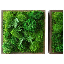 Load image into Gallery viewer, Fern &amp; Moss Handmade Artwork — 14” x 14”