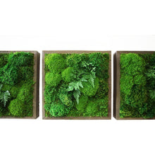 Load image into Gallery viewer, Fern &amp; Moss Handmade Artwork — 14” x 14”