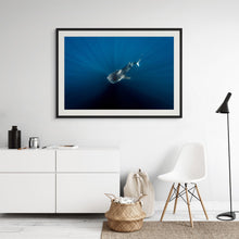 Load image into Gallery viewer, Driftward // Underwater Art Print
