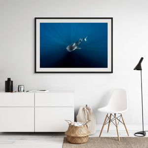Driftward // Underwater Art Print