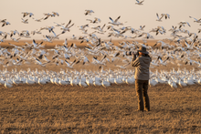 Load image into Gallery viewer, Woman photographer capturing snow geese migration