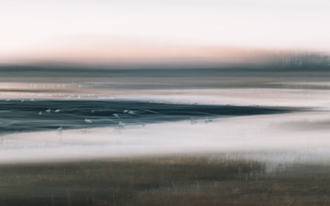 Liminal Space // Landscape Nature Art Print