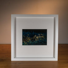 Load image into Gallery viewer, Backlit Meadow — Agave Art Print