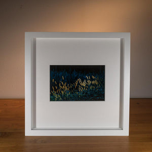 Backlit Meadow — Agave Art Print