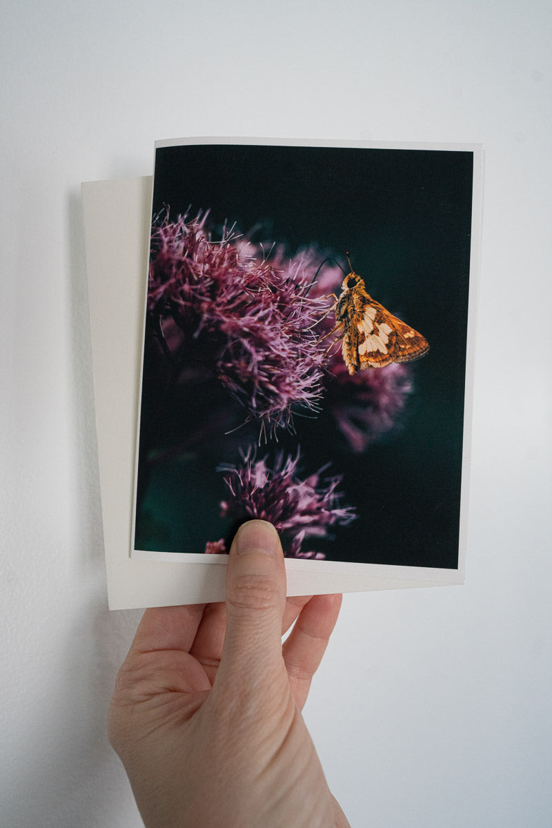 Long Dash Butterfly — Fine Art Notecard