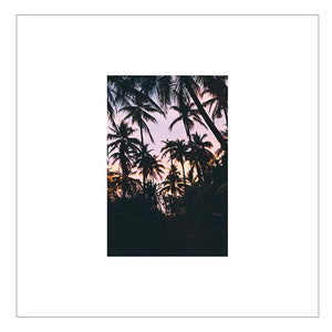 Forgotten Palms