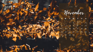 Digital Download - November Desktop Background