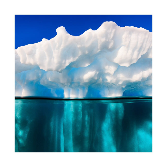 A Billion Snowflakes // Underwater Art Print