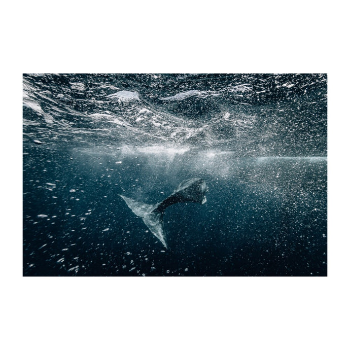 Beyond // Underwater Art Print — Limited Edition