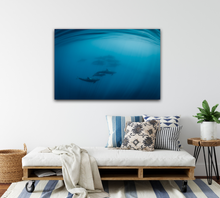 Load image into Gallery viewer, False dawn